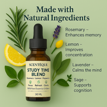 Study Time Blend –  Diffuser Oil