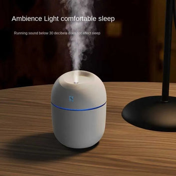 Mini Ultra Sonic Humidifier